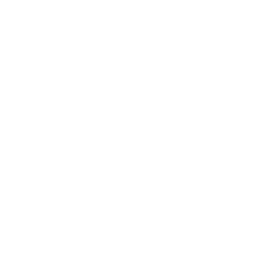 熟悉各国政策<br/>掌握流程节点