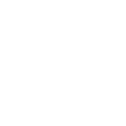 安防